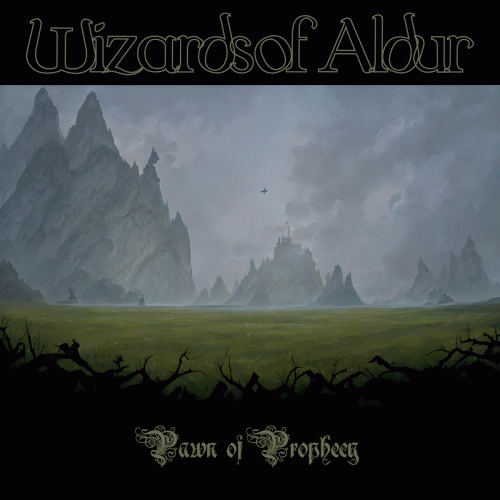 Wizards Of Aldur : Pawn of Prophecy